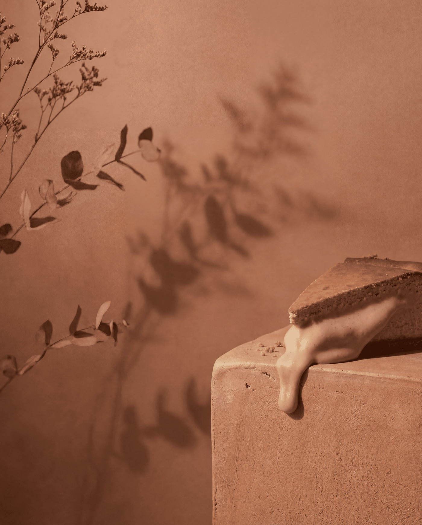 tarta de queso y galleta lotus de luna y wanda la mejor tarta de madrid