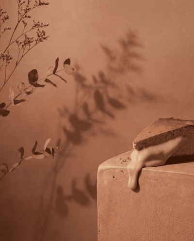 tarta de queso y galleta lotus de luna y wanda la mejor tarta de madrid